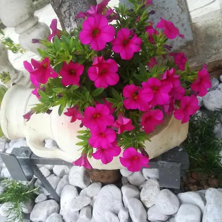 Pelcic,with Wifi And Free Parking Apartment Kostrena
