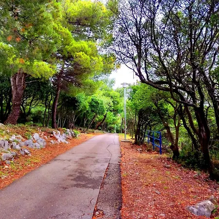 Pelcic,with Wifi And Free Parking Apartment *