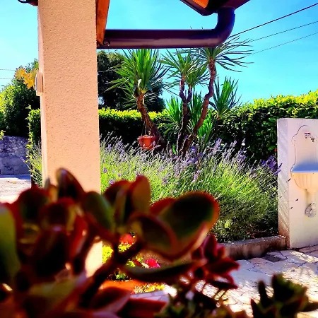 Pelcic,with Wifi And Free Parking Apartment *