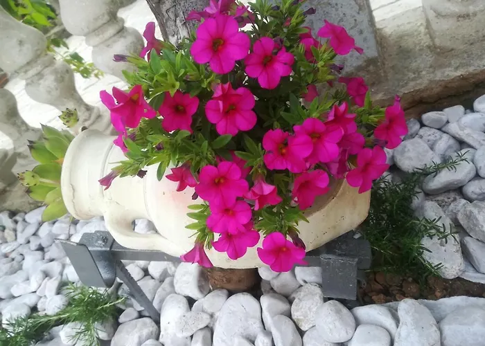 Pelcic,with Wifi And Free Parking Apartament Kostrena