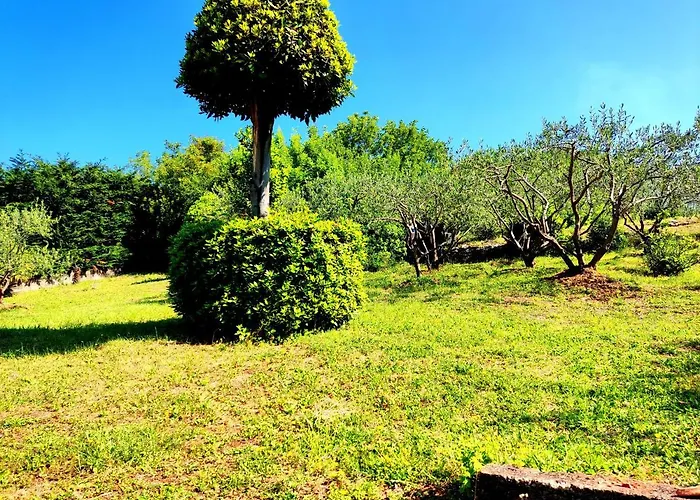 Apartament Pelcic,with Wifi And Free Parking