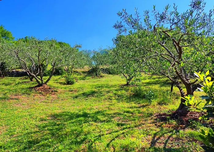 Pelcic,with Wifi And Free Parking Apartament Kostrena