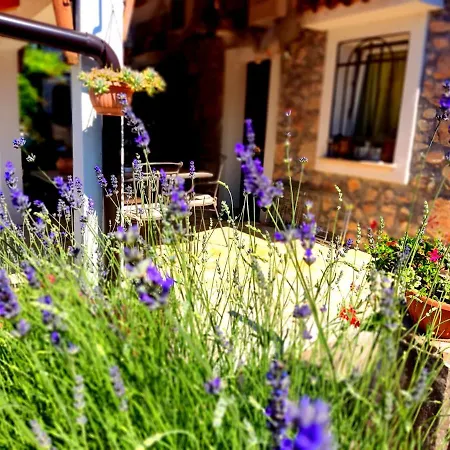 Pelcic,with Wifi And Free Parking Lägenhet *