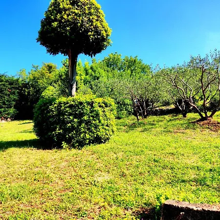 Lägenhet Pelcic,with Wifi And Free Parking