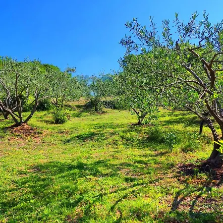 Pelcic,with Wifi And Free Parking Lägenhet Kostrena