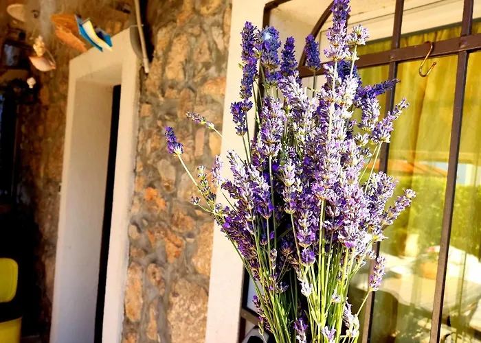 Pelcic,with Wifi And Free Parking *