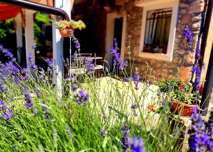 Pelcic,with Wifi And Free Parking Apartmán *
